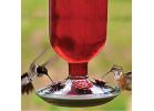 Perky-Pet 8109-2 Bird Feeder, 16 oz, 4-Port/Perch, Glass/Metal, Red, 10.6 in H Red (Pack of 2)