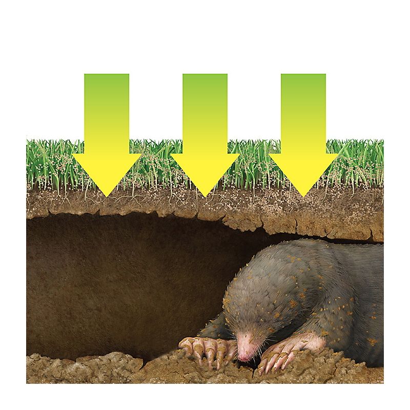 Victor M7001-1 Animal Repellent, Repels: Armadillo, Gopher, Mole, Voles (Pack of 6)