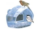 Birdscapes Window Bird Feeder 0.25 Lb., Clear