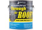 Through the Roof! Clear Cement &amp; Patching Sealant 1 Gal., Clear (Pack of 2)