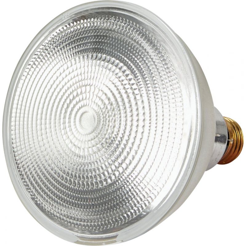 Philips PAR38 Halogen Floodlight Light Bulb