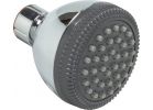 Home Impressions 1-Spray 1.75 GPM Fixed Showerhead