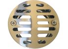 Lasco Shower Drain Strainer for Tile Installations 1-1/2&quot; FPT Outlet; 3-1/2&quot; Grid
