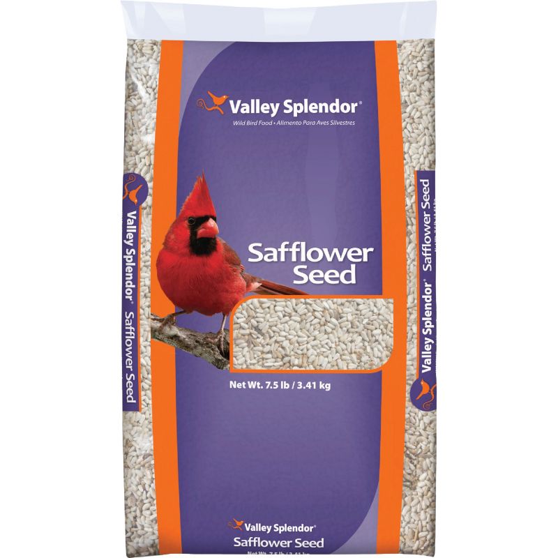 Valley Splendor Safflower Seed Wild Bird Food