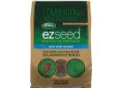 Scotts EZ Seed Sun &amp; Shade Grass Patch &amp; Repair