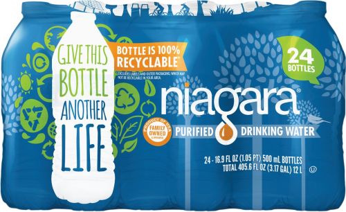 Niagara 32-Pack 16.9-fl oz Purified Bottled Water