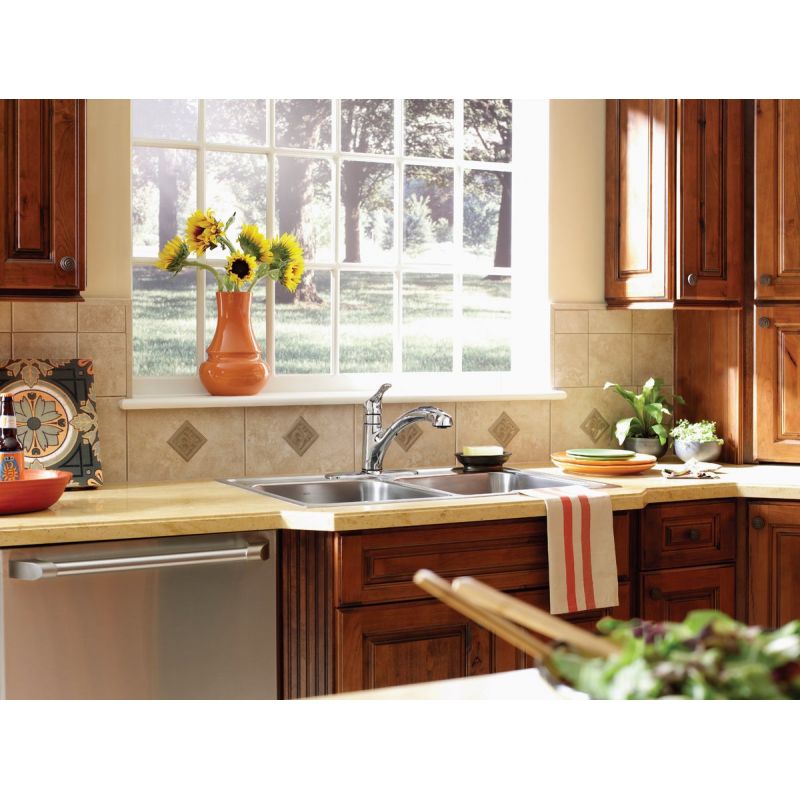 Moen Renzo Single Handle Pull-Out Kitchen Faucet Transitional