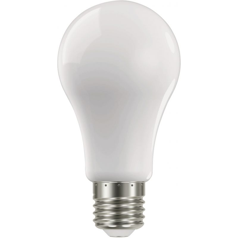 Satco Nuvo A19 Medium LED Light Bulb