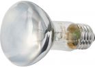 Philips DuraMax R20 Incandescent Floodlight Light Bulb