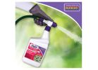 Bonide Eight 426 Insect Control, Liquid, Spray Application, 1 qt Bottle White
