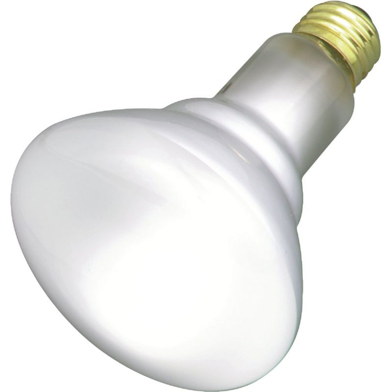 Satco BR30 Incandescent Floodlight Light Bulb