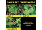 Ortho GroundClear Poison Ivy &amp; Tough Brush Killer 1 Gal.