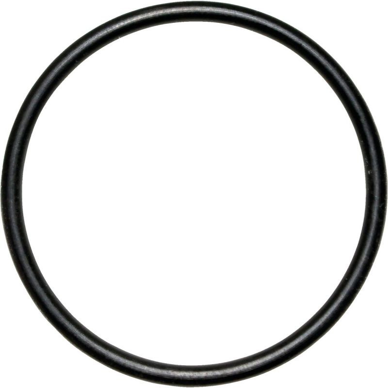 Danco Buna-N O-Ring #29, Black (Pack of 5)