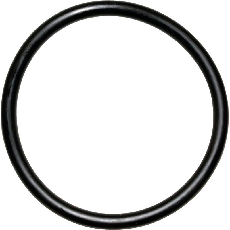Danco Buna-N O-Ring #25, Black (Pack of 5)