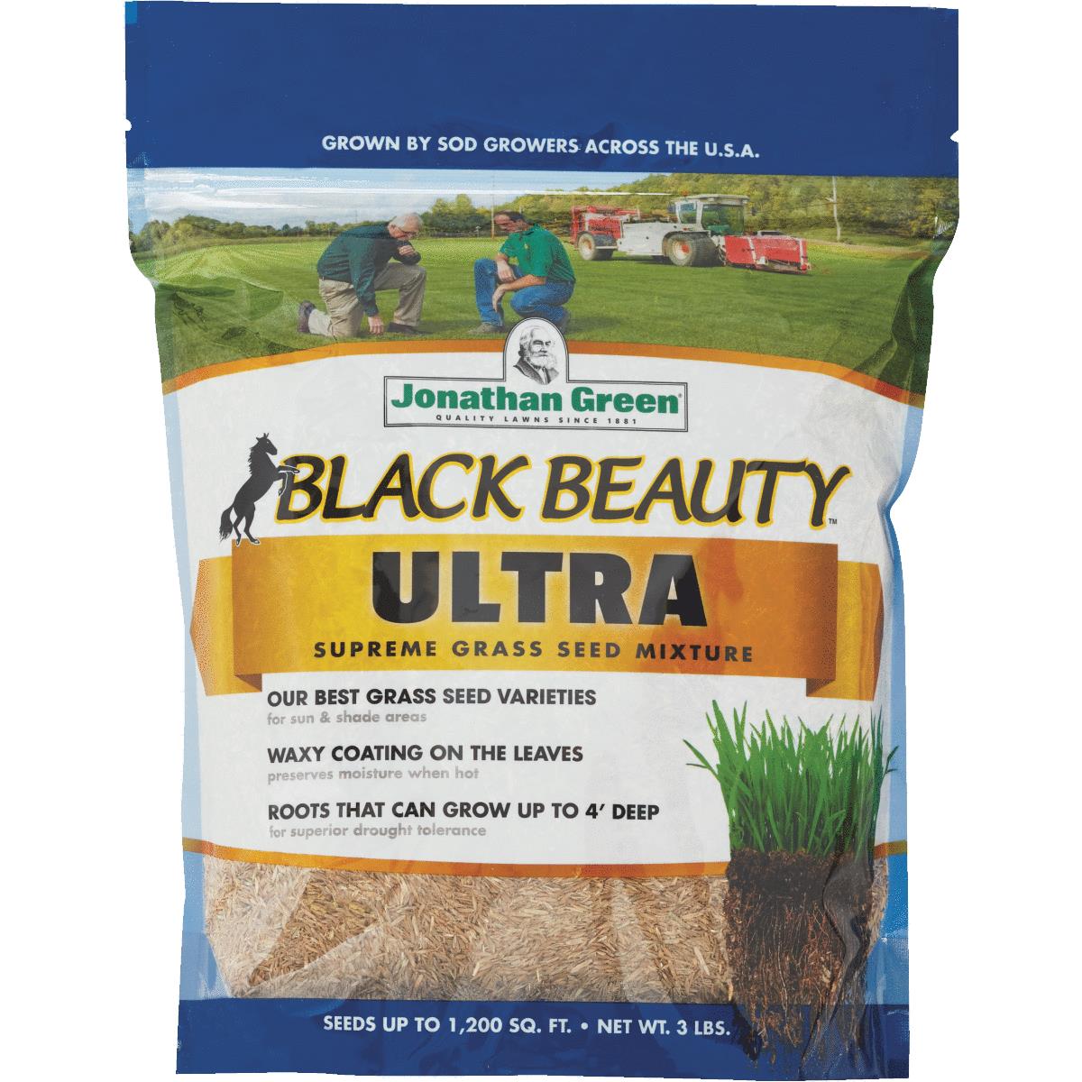 Buy Jonathan Green Black Beauty Ultra Grass Seed Mixture Lb Medium Texture Extra Dark Green