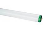 Philips T12 Bi-Pin Fluorescent Tube Light Bulb (Pack of 12)