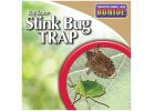 Bonide 198 Stink Bug Trap