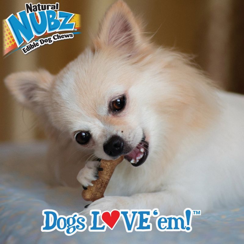 Nylabone Natural Nubz Bully Stick Dog Treat Chew 36-Pack