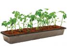 PlantBest Coir Seed Starter Kit