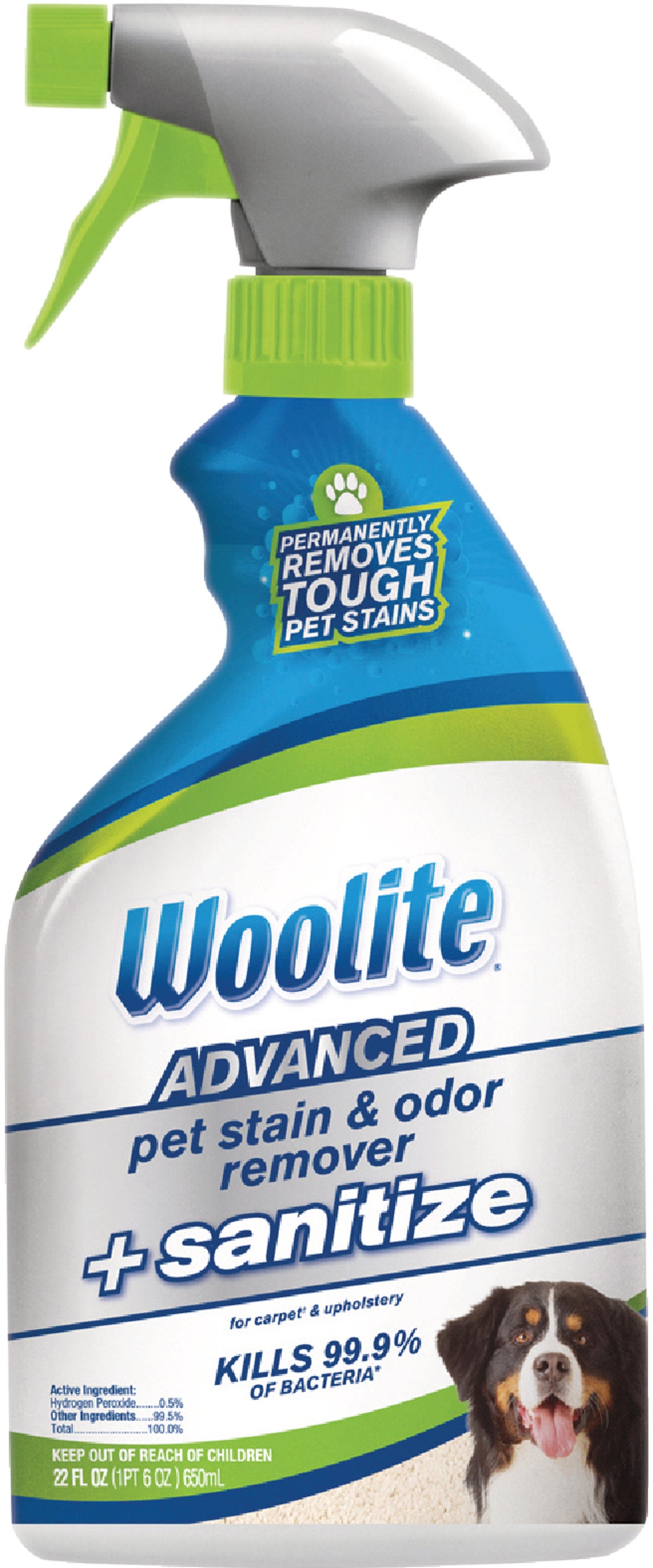 Woolite Pet Stain & Odor Remover + Sanitize, Advanced - 22 fl oz