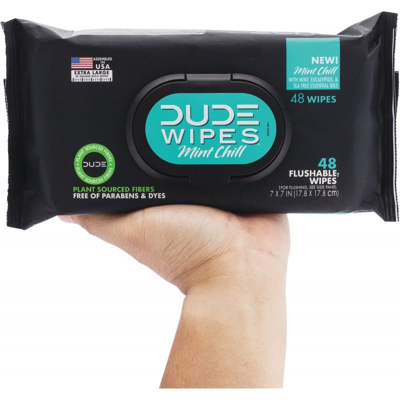 Dude Wipes Flushable Wipes, Fragrance Free, Extra Large - 48 wipes