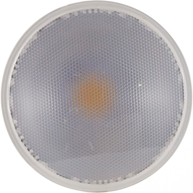 Satco Nuvo PAR38 Medium Dimmable LED Floodlight Light Bulb