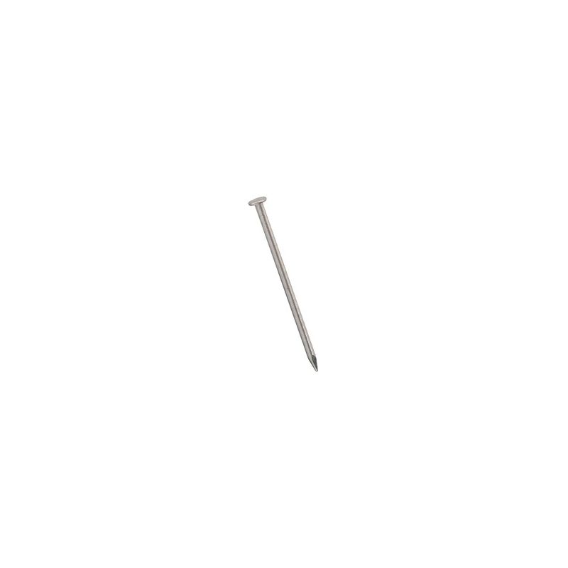 National Hardware N278-358 Wire Nail, 1 in L, Stainless Steel, 1 PK