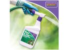 Bonide 301 Weed and Feed Lawn Fertilizer, 1 qt, Liquid, 20-0-0 N-P-K Ratio Amber
