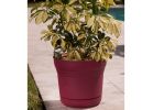 Bloem SP1212 Planter, 12.3 in H, 10.8 in W, Polypropylene, Union Red Union Red