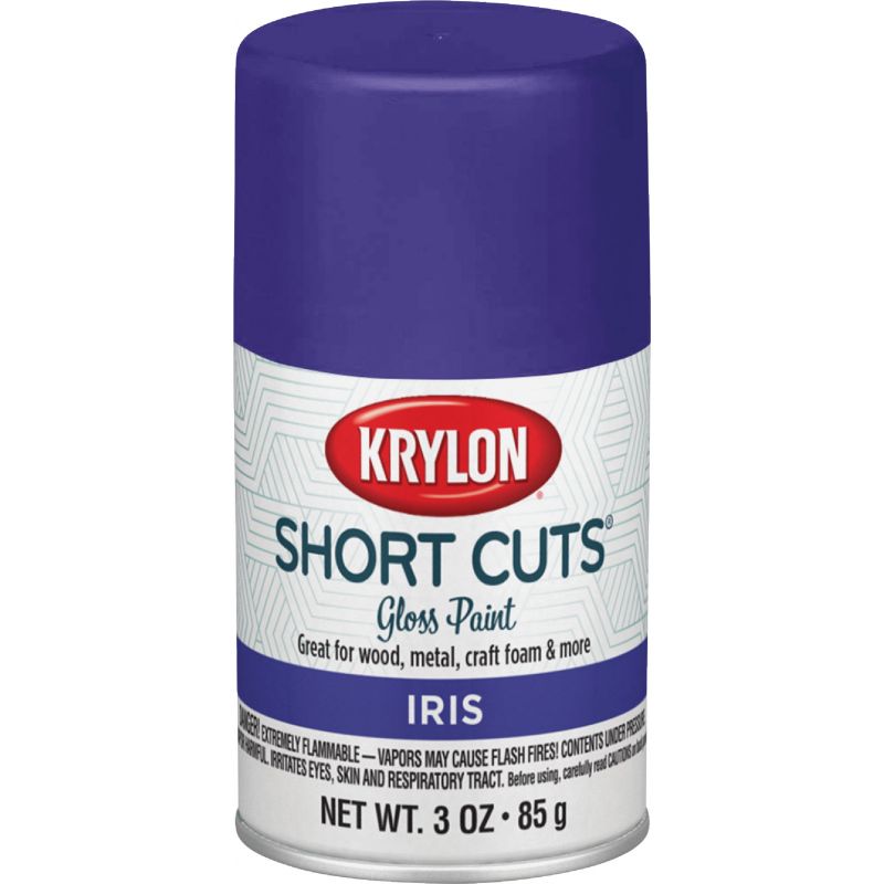 Krylon Short Cuts Enamel Spray Paint Iris, 3 Oz.