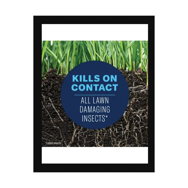 BioAdvanced Complete 700294H Insect Killer, Granular, Spreader Application, 10 lb Bag