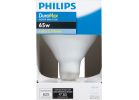 Philips DuraMax BR40 Incandescent Floodlight Light Bulb