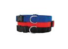 Ruffin&#039;It 31443 Adjustable Dog Collar, 18 to 26 in L, 1 in W, Nylon