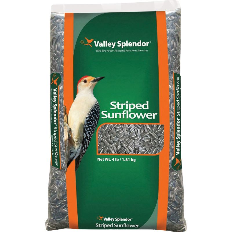 Valley Splendor Striped Sunflower Seed
