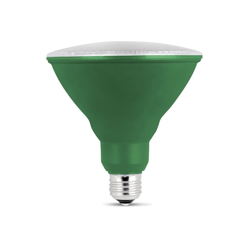 Feit Electric PAR38/G/10KLED/BX LED Bulb, Flood/Spotlight, PAR38 Lamp, E26 Lamp Base, Green Light (Pack of 4)