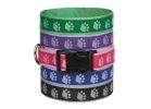 Casual Canine ZA8871 18 43 Dog Collar, 18 to 26 in L Collar, 1 in W Collar, Nylon, Green Green