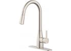 Home Impressions Single Handle Pull Down Kitchen Faucet