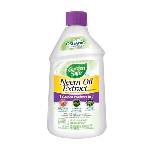 HG Citrus Solvent 4 oz