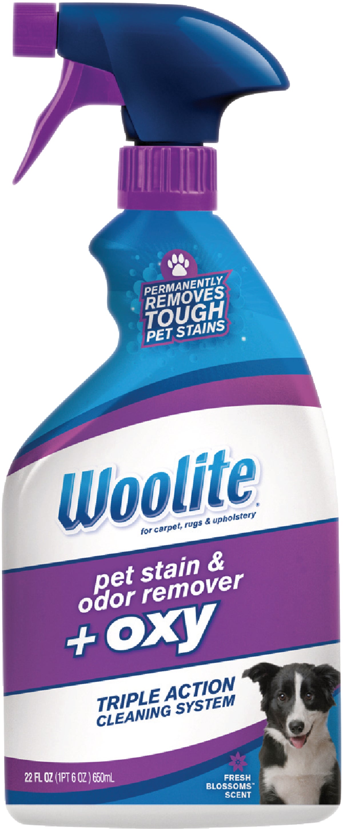 Buy Woolite Carpet Pet Stain & Odor Remover 22 Oz.