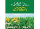Scotts Turf Builder Weed &amp; Feed Lawn Fertilizer with Weed Killer