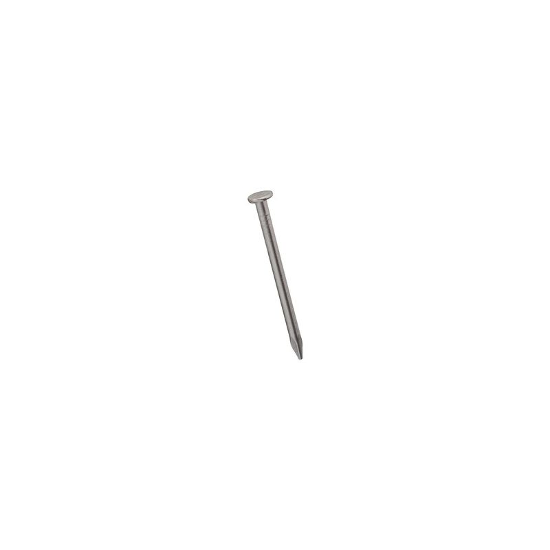 National Hardware N278-341 Wire Nail, 7/8 in L, Stainless Steel, 1 PK