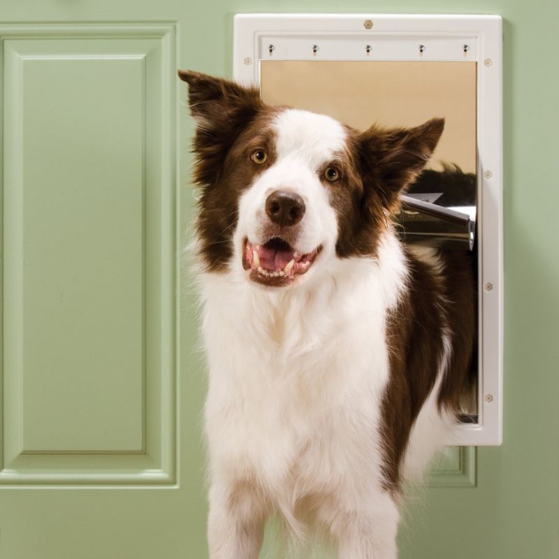 PetSafe PPA00-10961 Pet Door, 16 in W, 27-1/4 in H, Plastic, White White