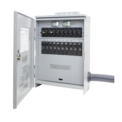Reliance 30216A Manual Transfer Switch, 125/250 V, 60 A, 7500 W, Gray