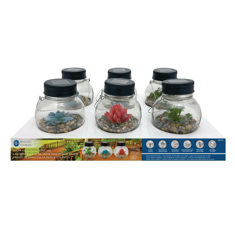 Boston Harbor Jar, Ni-Mh Battery, 1-Lamp, LED Lamp, Glass Stone Succulent Stainless Steel Fixture (Pack of 6)