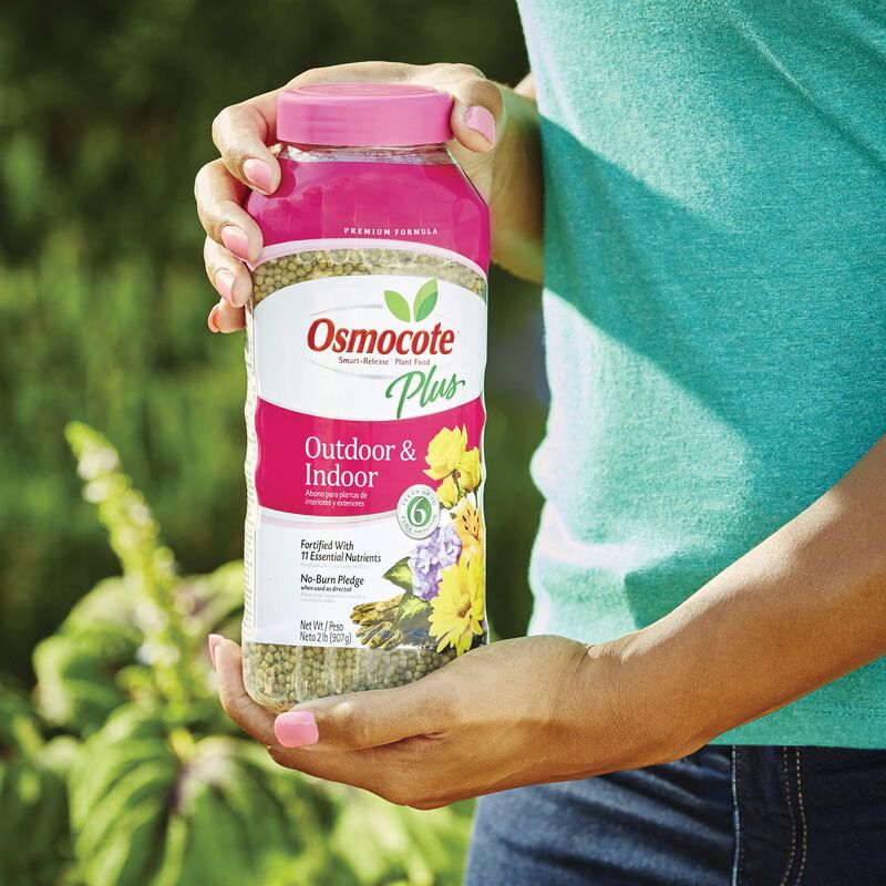 Osmocote Smart-Release 2345012 Plant Food, 2 lb Bag, Solid, 15-9-12 N-P-K Ratio