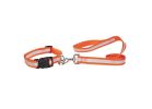Guardian Gear ZA984 06 69 Dog Collar, 6 to 10 in L Collar, 3/8 in W Collar, Nylon, Orange Orange