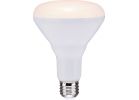 Satco Ditto BR30 Medium Dimmable LED Floodlight Light Bulb