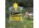 Rescue YJTD-DB12-W Disposable Yellow Jacket Trap (Pack of 12)