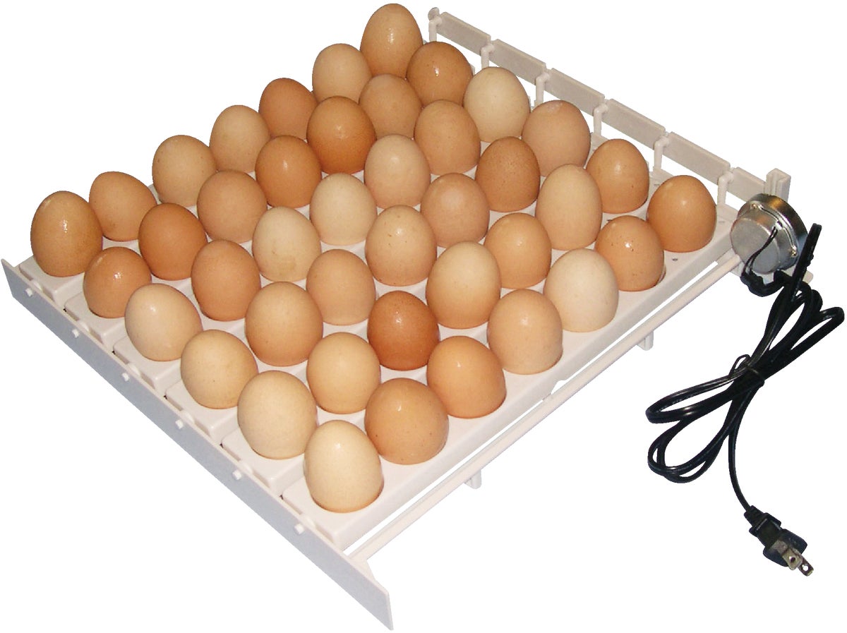 Rise® by Dash Black 7-Egg Cooker $14.99