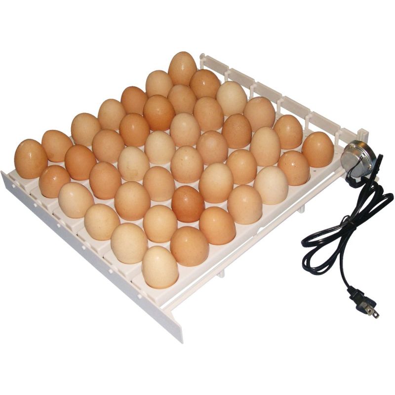 Farm Innovators Automatic Egg Turner 41 Eggs, White